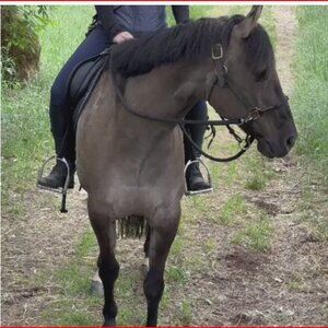 Horse Education Company Snap On Rope Reins - Black